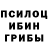 Псилоцибиновые грибы Magic Shrooms Gurban Amannazarov