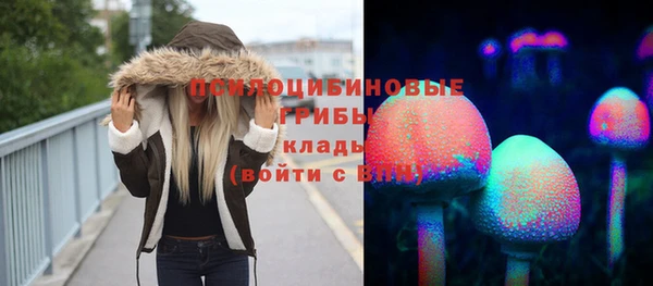 винт Белокуриха