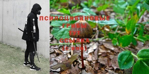 apvp Ростов