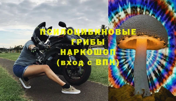 винт Белокуриха